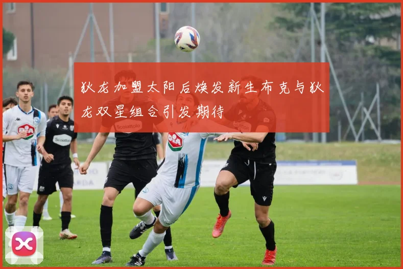 狄龙加盟太阳后焕发新生布克与狄龙双星组合引发期待