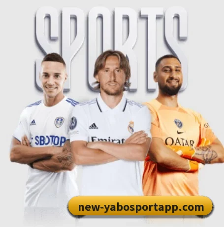五大服务分区,信息按项目分类 - Yabo